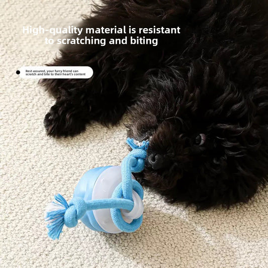 Electric Pet Toy - Dog Toys | Buy Online in UK