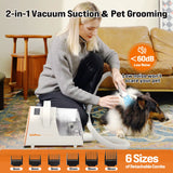 Dog Grooming Kit, Rechargeable Hair Trimmer, 12000Pa 5 Modes Suction 99% Pet Hair,11 Tools - Trimmers | Buy Online in UK