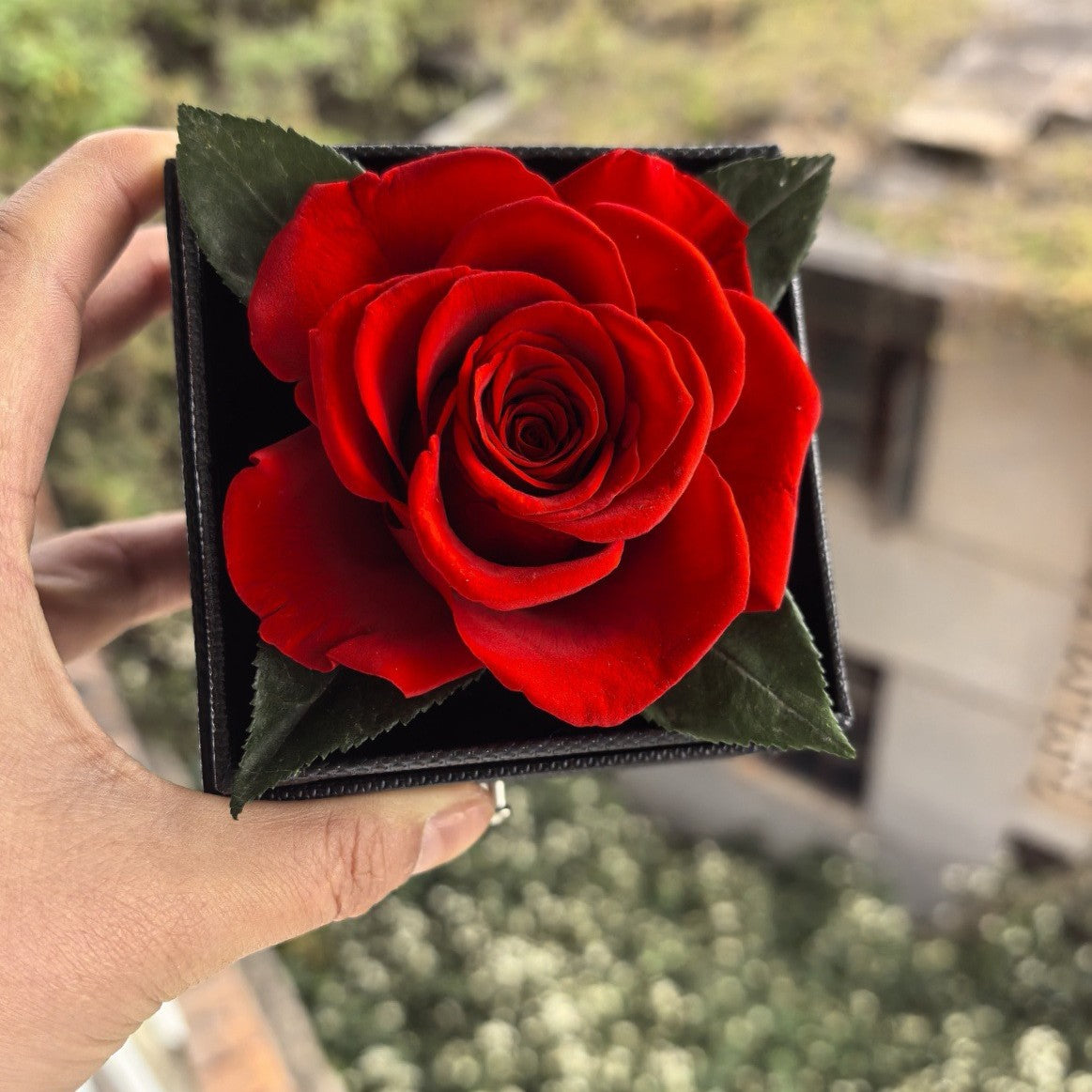 Buy Eternal Rose Jewelry Box with Hidden Necklace Drawer – Valentine Gift for Women in UK - High Quality Jewelry Boxes