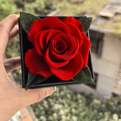 Buy Eternal Rose Jewelry Box with Hidden Necklace Drawer – Valentine Gift for Women in UK - High Quality Jewelry Boxes