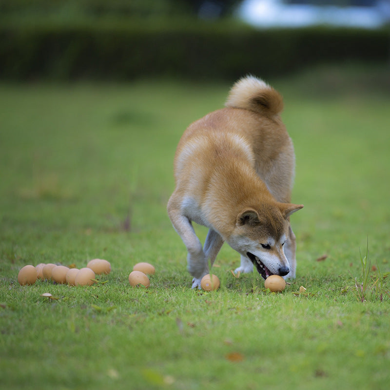 Pet Toy Ball - Dog Toys | Buy Online in UK