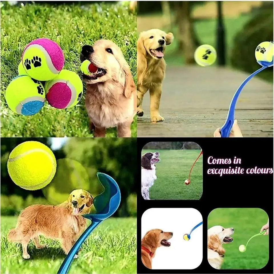 Pet Throwing Stick Dog Hand Throwing Ball Toys Pet - Uncategorized | Buy Online in UK