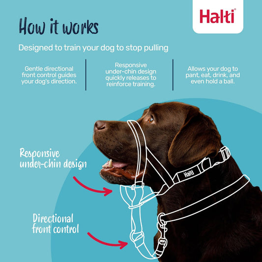 Headcollar -Dog Training Anti-Pull Collar for Medium Dogs (Size 3, Black) - Training, Choke & Pinch Collars | Buy Online in UK