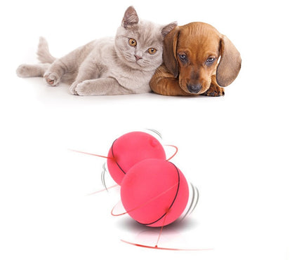 LED Laser Electronic Rolling Pet Funny Cat Toy Ball - | Buy Online in UK