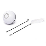 LED Laser Electronic Rolling Pet Funny Cat Toy Ball - | Buy Online in UK