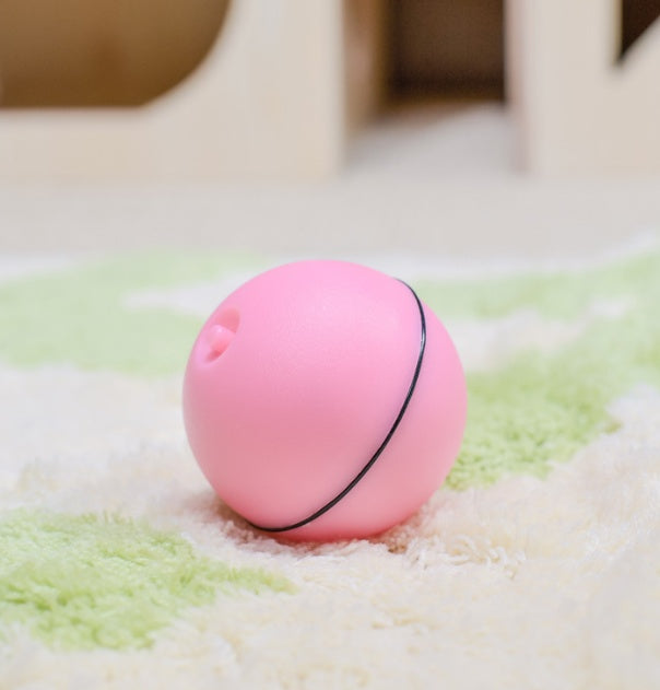 LED Laser Electronic Rolling Pet Funny Cat Toy Ball - | Buy Online in UK