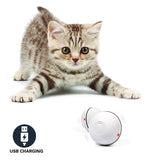LED Laser Electronic Rolling Pet Funny Cat Toy Ball - | Buy Online in UK