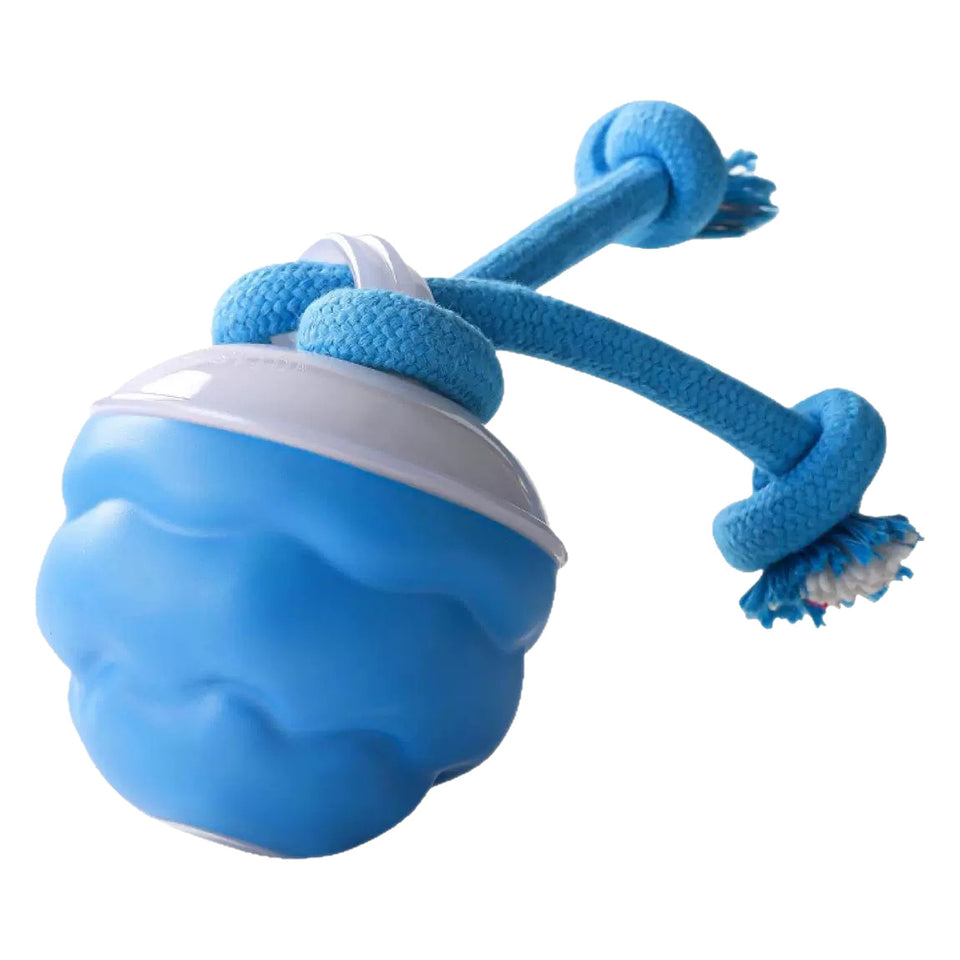 Electric Pet Toy - Dog Toys | Buy Online in UK