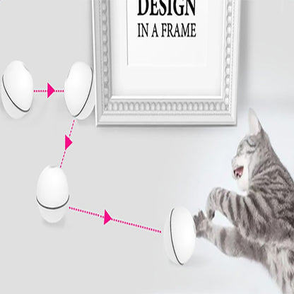 LED Laser Electronic Rolling Pet Funny Cat Toy Ball - | Buy Online in UK