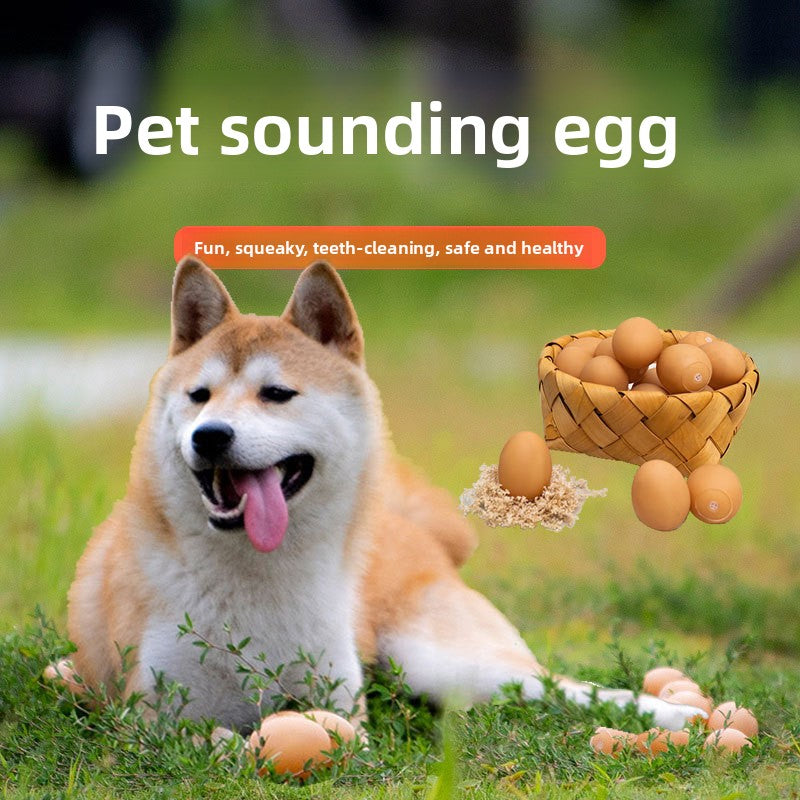 Pet Toy Ball - Dog Toys | Buy Online in UK