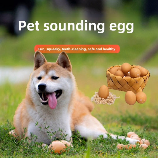 Pet Toy Ball - Dog Toys | Buy Online in UK