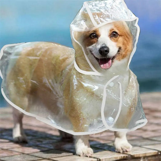 Dog Puppy Rain Coat PVC Waterproof Clear Transparent Pet Hooded Jacket - Pet Rain Coats | Buy Online in UK