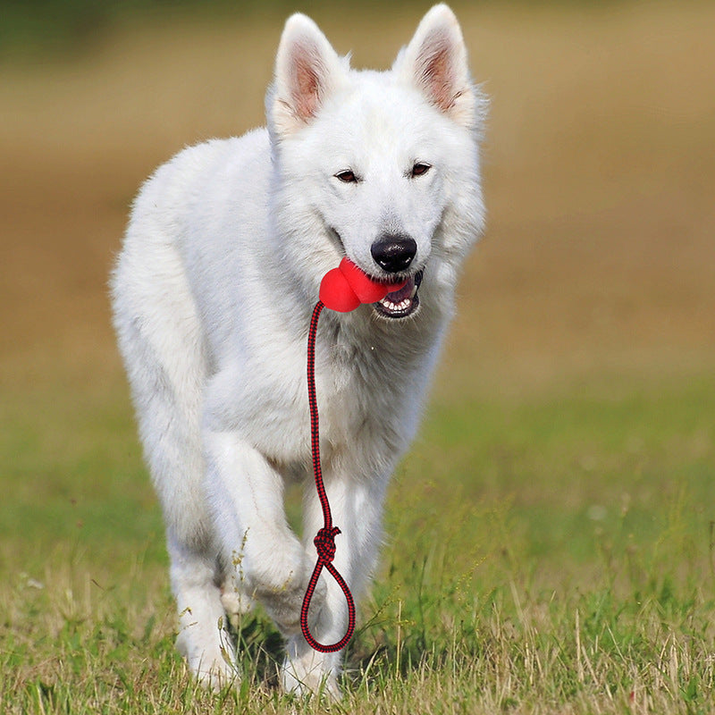 Pet Toy Natural Rubber Rope Hoist - Dog Toys | Buy Online in UK