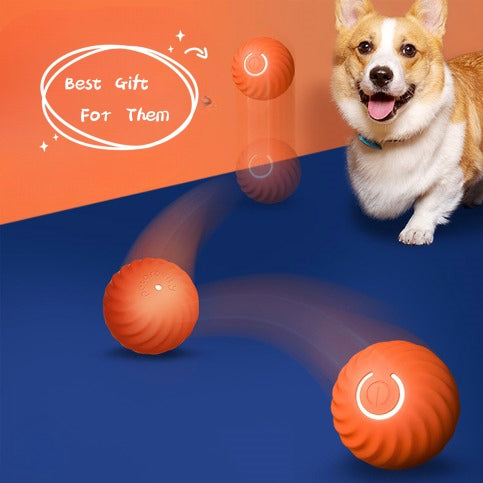 Dog Chew Toys Puppy Pets Dogs Training Products - Dog Toys | Buy Online in UK