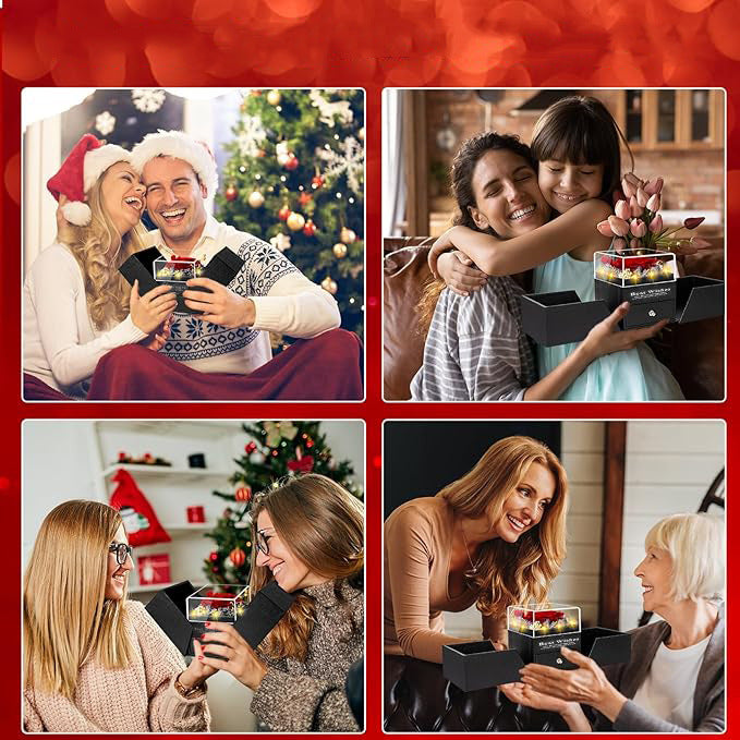 Preserved Flower Box - Dried Flowers | Buy Online in UK