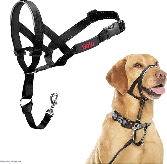 Headcollar -Dog Training Anti-Pull Collar for Medium Dogs (Size 3, Black) - Training, Choke & Pinch Collars | Buy Online in UK