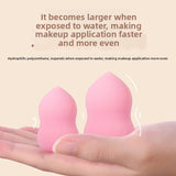 Sponge Makeup Egg - Makeup Sponges | Buy Online in UK