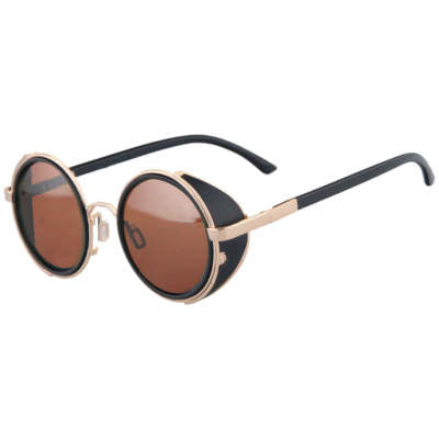 Windshield sunglasses