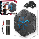 Bluetooth music boxing - Punching & Training Speed Bags | Buy Online in UK