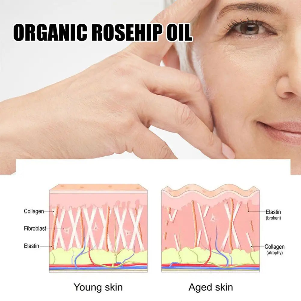 EELHOE Rosehip Serum-3