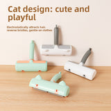 Cat Hair Removal Artifact