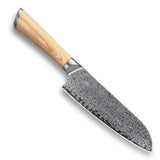 Damascus Kitchen Knife - Buy Online at RONGORA LTD