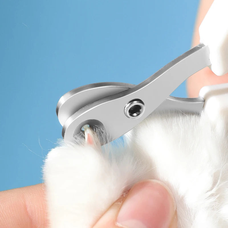 Professional Cat Nail Clippers for Small Cat Dog Stainless Steel Puppy Claws Cutter Pet - Pet Nail Tools | Buy Online in UK