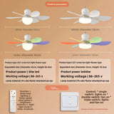 Ceiling Fan Light - Ceiling Fans | Buy Online in UK