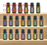 Aromatherapy Candle with Essential Oils – Ginger, Wormwood, Rose Sandalwood Fragrance Box - Hair Oils | Buy Online in UK