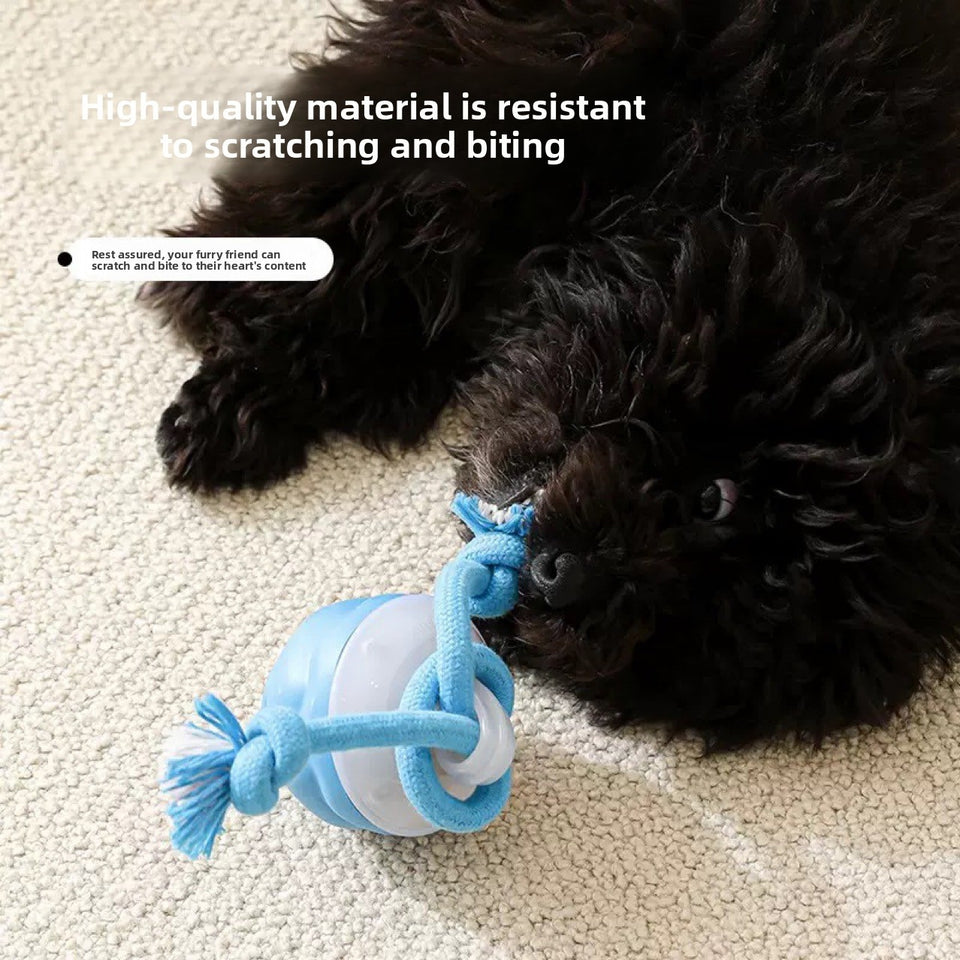 Electric Pet Toy - Dog Toys | Buy Online in UK