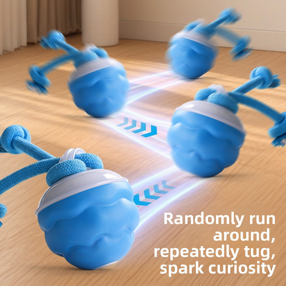 Electric Pet Toy - Dog Toys | Buy Online in UK