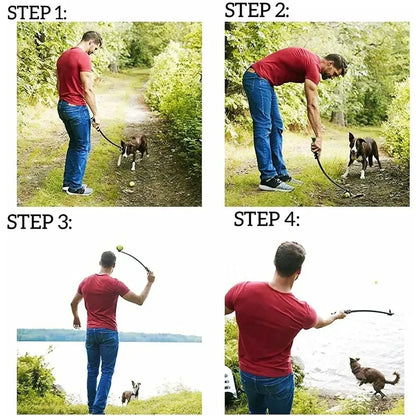 Pet Throwing Stick Dog Hand Throwing Ball Toys Pet - Uncategorized | Buy Online in UK