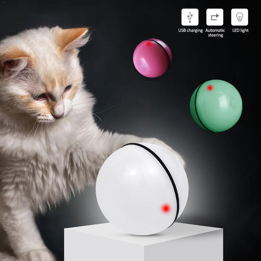 LED Laser Electronic Rolling Pet Funny Cat Toy Ball - | Buy Online in UK